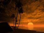 souvenirs nocturnes